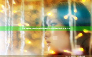 了解SWING是什么意思及其在生活中的应用与影响分析