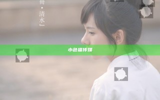 小色猫传媒