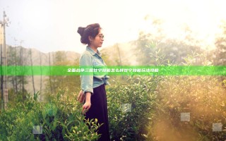 全面战争三国甘宁技能怎么样 甘宁技能玩法攻略