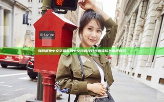 如何解决中文字幕乱码中文问题提升观看体验与解析技巧