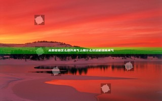 太吾绘卷怎么提升真气上限 什么功法能提高真气