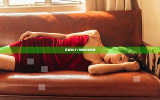 无遮挡十八禁在线视频