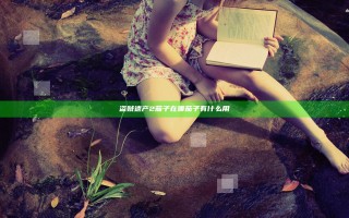 盗贼遗产2茄子在哪 茄子有什么用