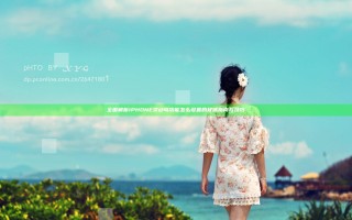 全面解析IPHONE灵动岛功能怎么设置的权威指南与技巧