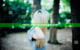 只狼影逝二度紫衣忍者怎么样 紫衣忍者打法攻略