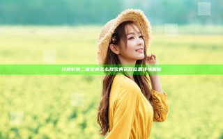 只狼影逝二度宝典怎么找 宝典获取位置详情解析
