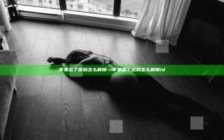 苹果忘了密码怎么解锁—苹果忘了密码怎么解锁id