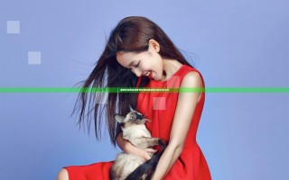 漫画歪歪的幽默世界揭秘 趣味故事让你心情大好