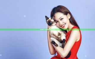 在车里被撞了八次高潮的奇妙体验与心理解析