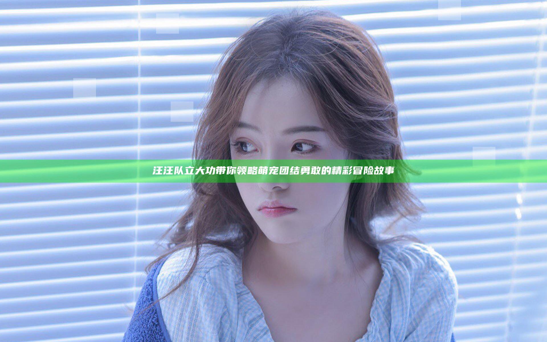 汪汪队立大功带你领略萌宠团结勇敢的精彩冒险故事
