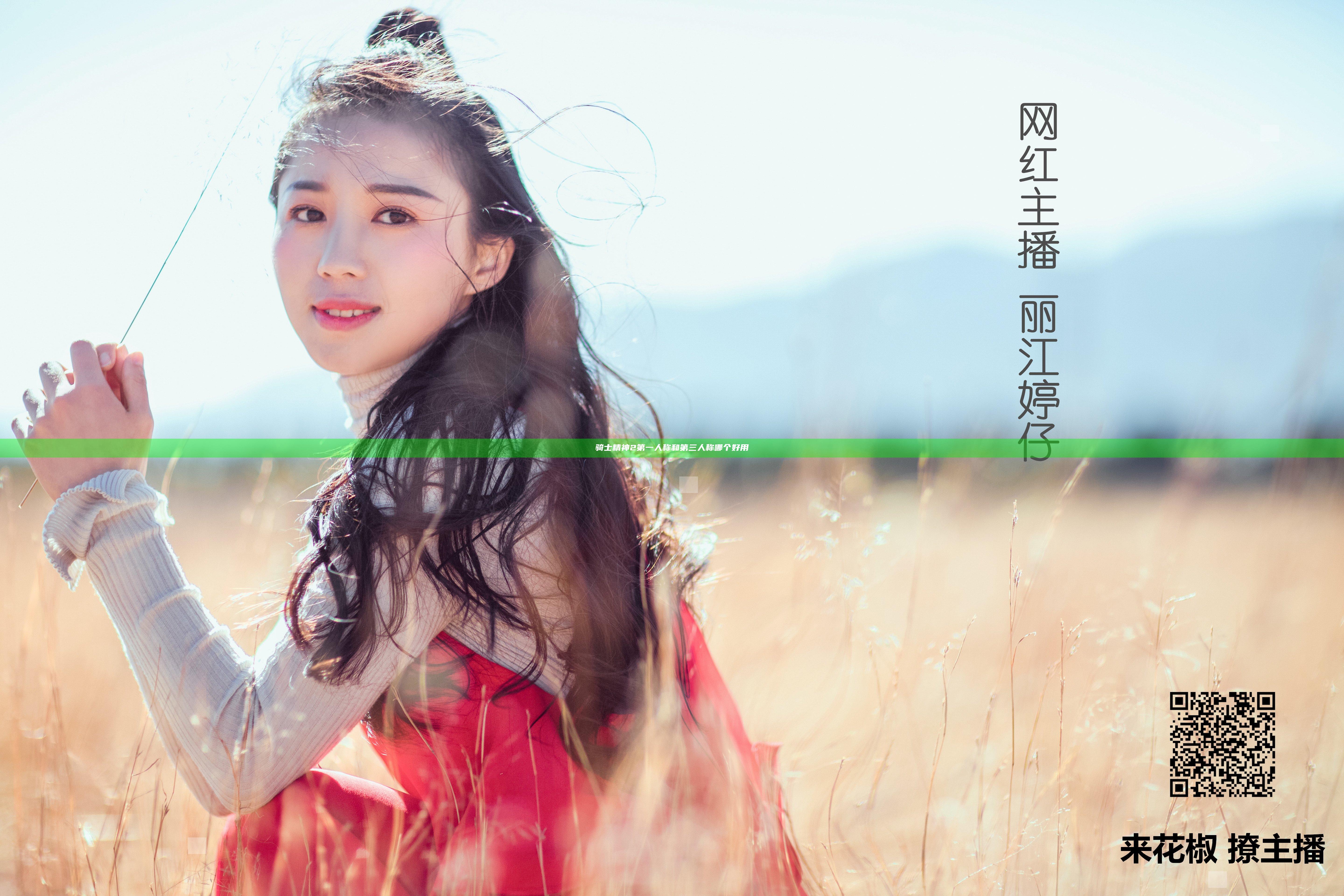 骑士精神2第一人称和第三人称哪个好用