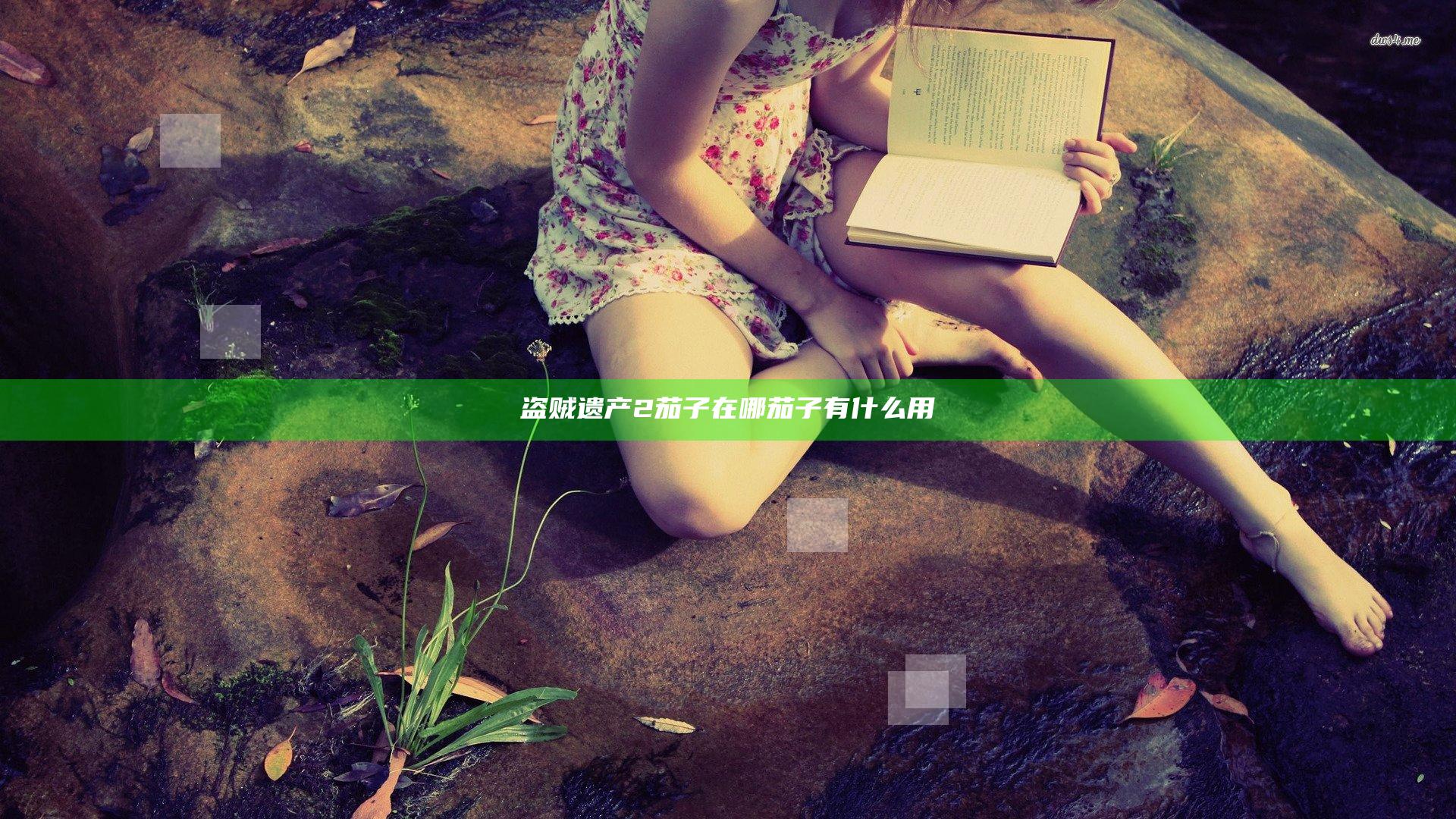 盗贼遗产2茄子在哪 茄子有什么用